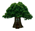 Png Tree House