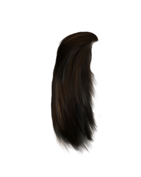 Png Painted hair 4