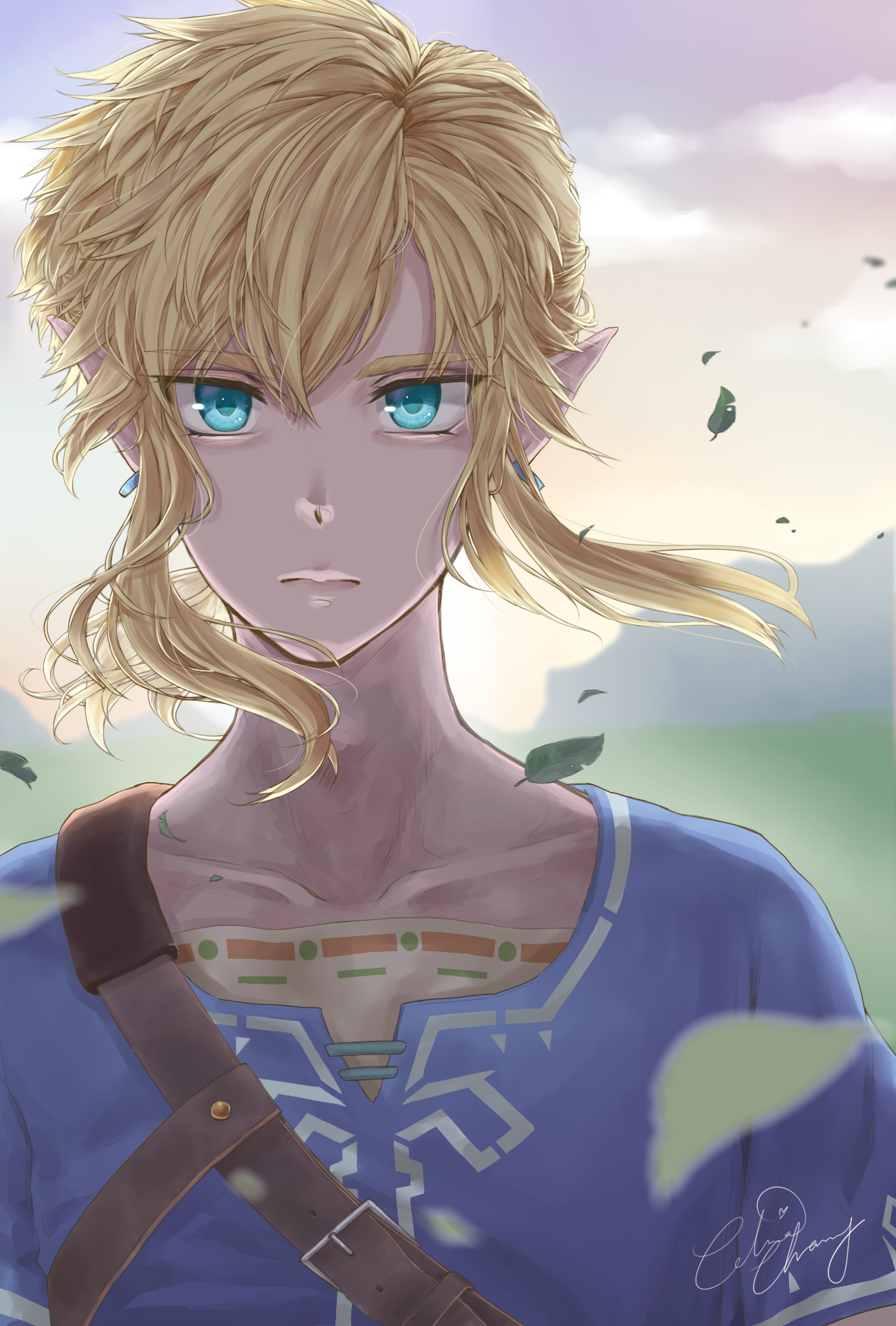 Breath of the Wild: Link