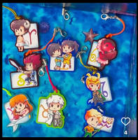 Zodiac Charms