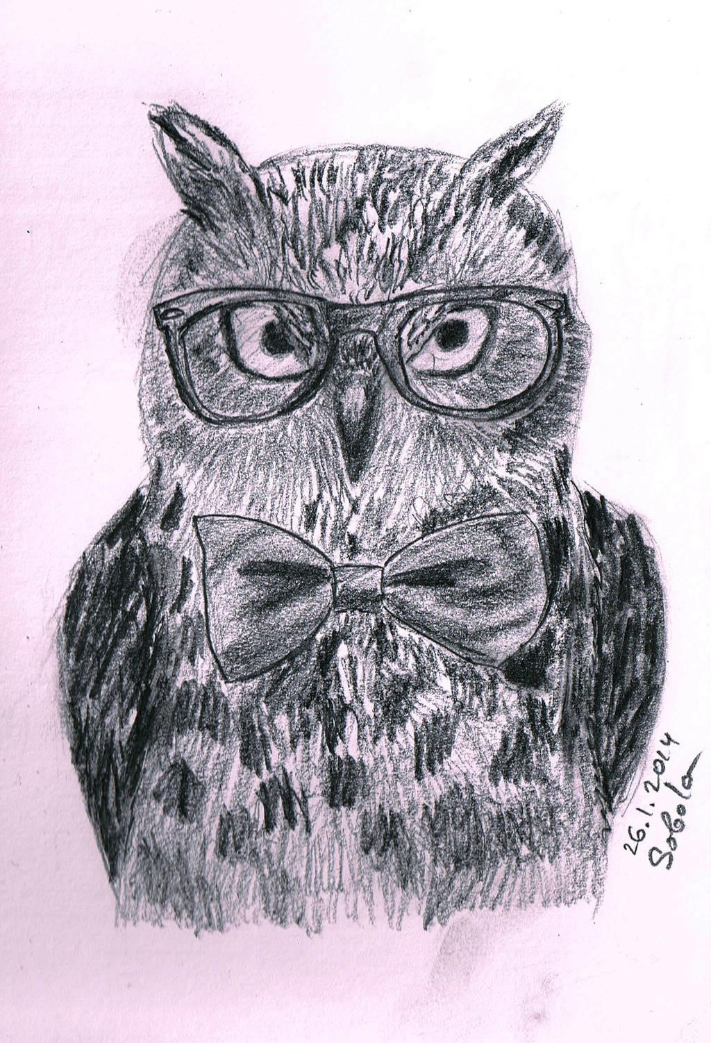 The Smart Owl