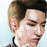 Wufan Fin!