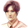 Han Lu  or Luhan