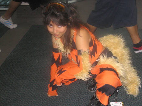 Ax 2011 Arcanine