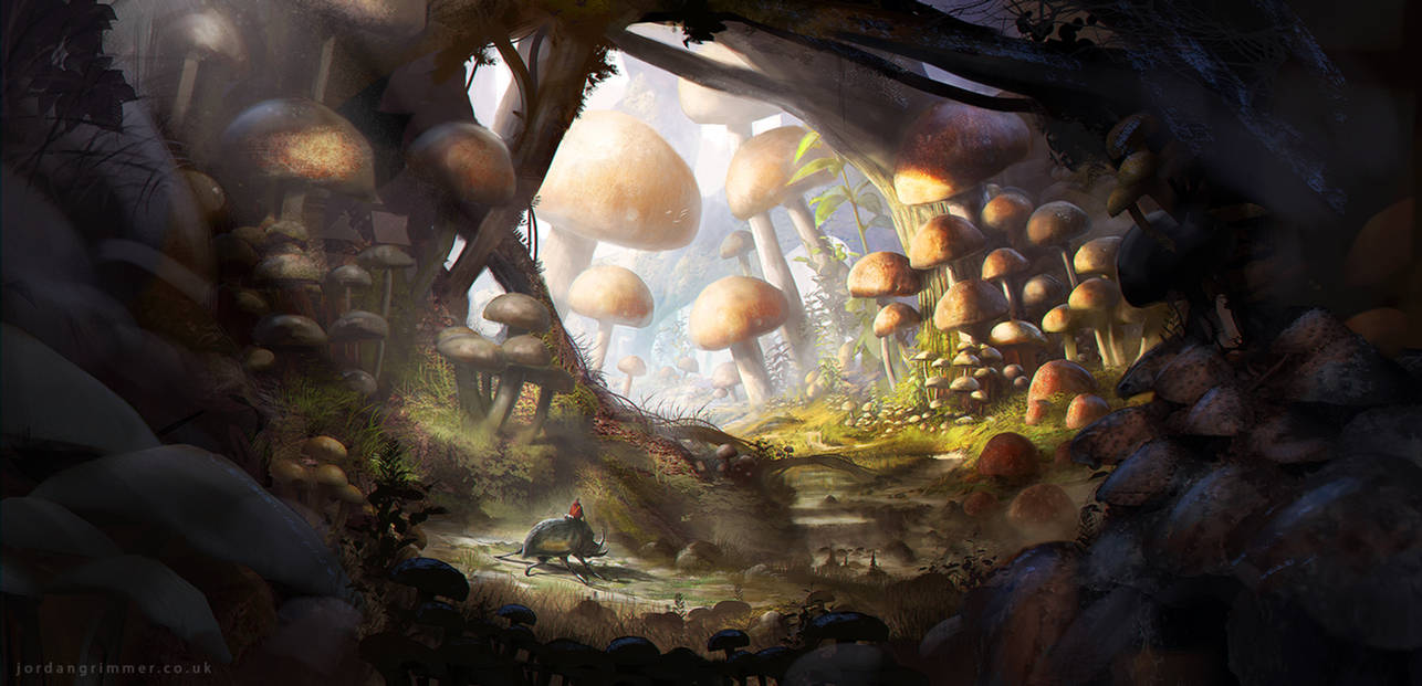 Mushroom Land