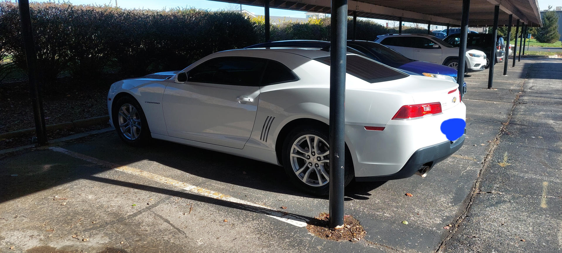 New car!