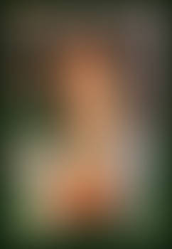 Mystic Springs Challenge