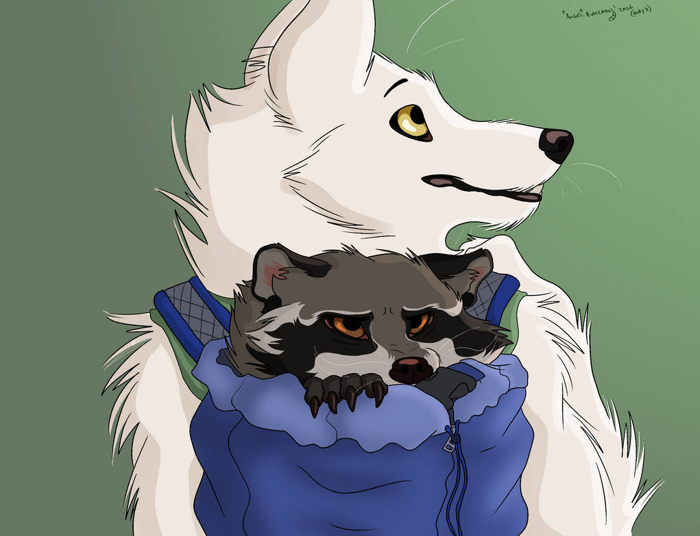 Angel Racoon Raccoon in a bag by GTHusky on DeviantArt