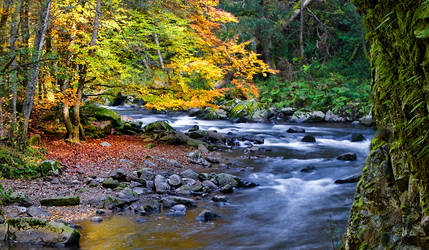 river wutach in fall
