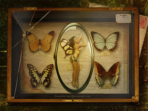 Trapped in beauty by SoulcolorsArt Trapped in beauty by SoulcolorsArt