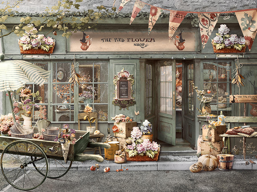 The Red Flowershop by SoulcolorsArt