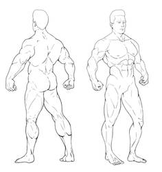 Lineart / Anatomy Practice - Arnold