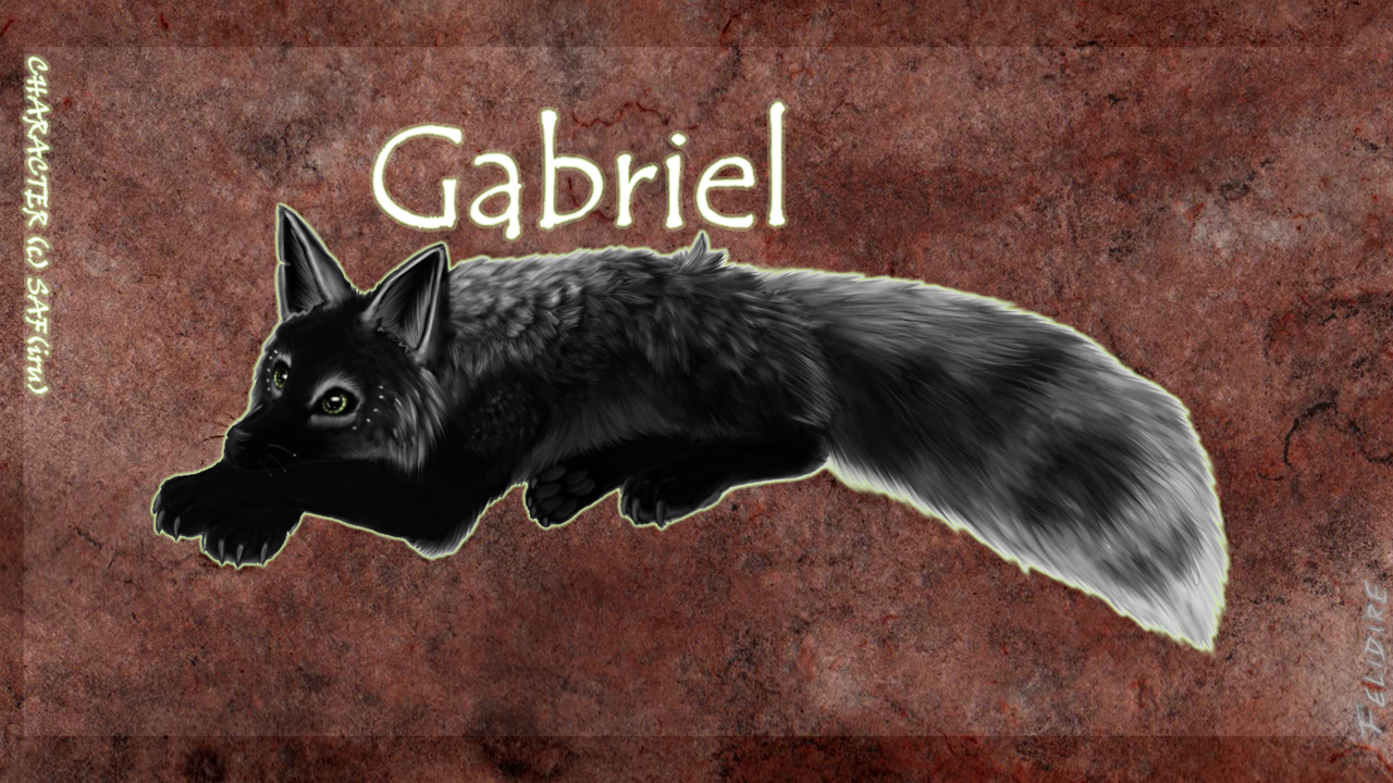 SAFIRU's - Gabriel