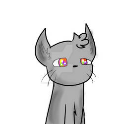 Le rainbow eye cat