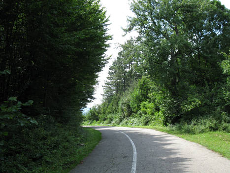 Majdanpek road 2