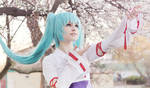 Vocaloid cosplay: Miku Hatsune by DAIxSORA