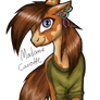 Pony horse adopt- open