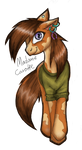 Pony horse adopt- open by TheMarchef