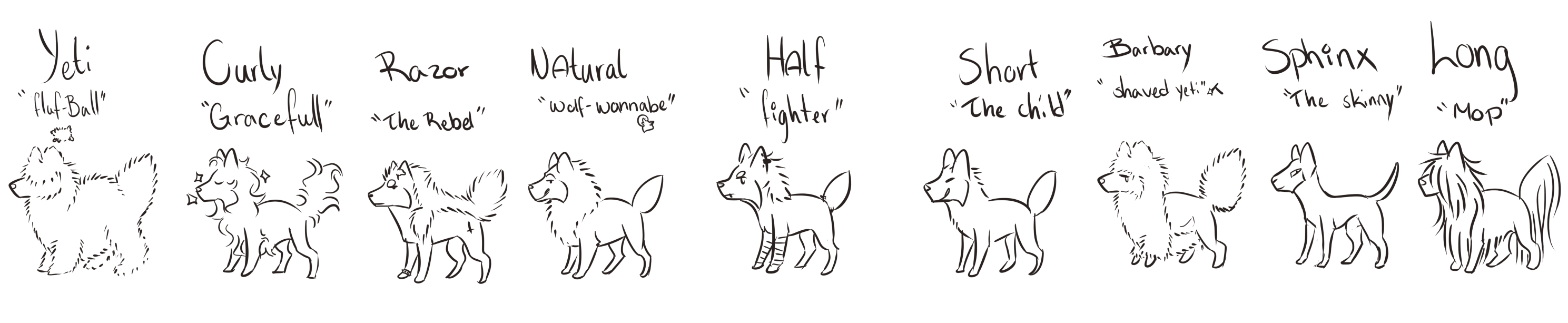 Mane Definition Mane definition by LMFO100 on DeviantArt