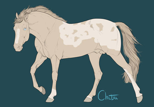 Mystery Horse Adopt 14 Natural