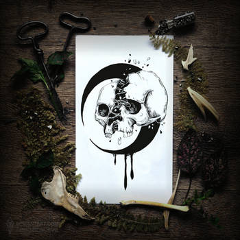 Splash Tattoo | Split (Tattoo Files Download)