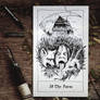 Wicked Inks | 31 The Farm