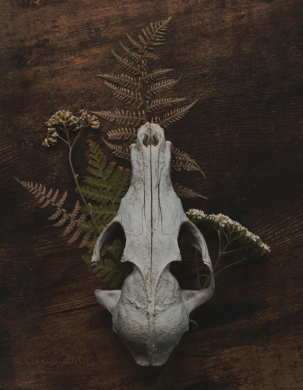 Skull Bouquet