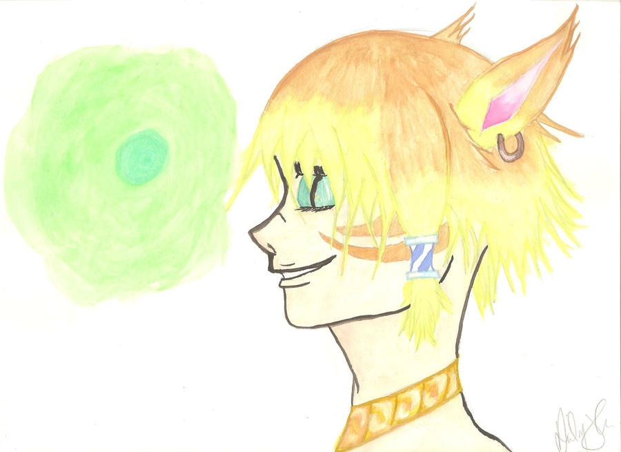 Final Fantasy XIV Miqo'te by MadameRioulette on DeviantArt