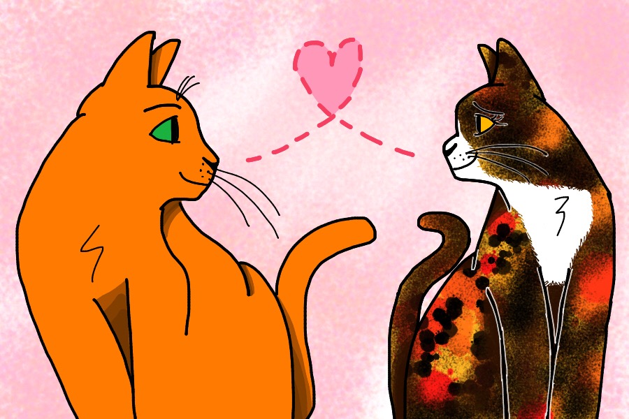 Firestar And Spottedleaf By Dailyspottedleaf On DeviantArt firestar-and-spottedleaf-by-dailyspottedleaf-on-deviantart