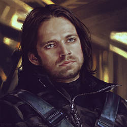 Bucky