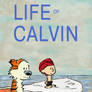 Life Of Calvin