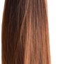 Girl Hair Brunette Straight Very Long (4)