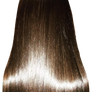Girl Hair Brunette Silk Really Long (4)