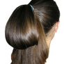 Girl Hair Brunette Ponytail Really Long (1)