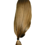 Girl Hair Blonde Ponytail Low Really Long (1)