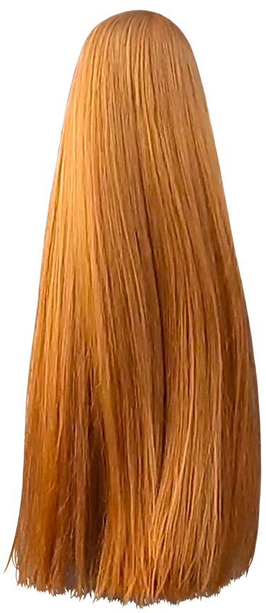Girl Hair Red Straight Super Long (9)