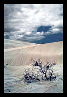 sand dunes-2