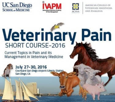 NC Veterinary Pain Short Course