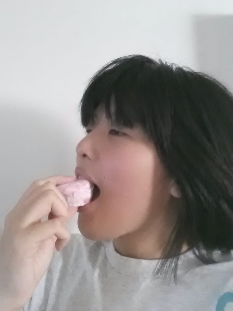 Munchie Mochi