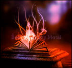 The Book of Heavy Metal by blackbettyes
