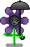 Gothic of Shadow Flower