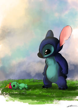 Stitch