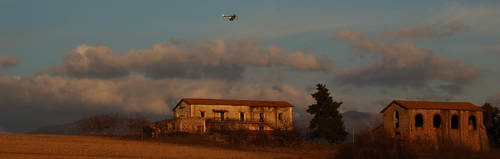 Flight at sunset