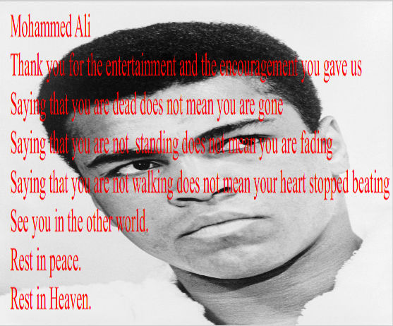 Ali R P R.I.P Mohammed Ali by Tgodzilla on DeviantArt