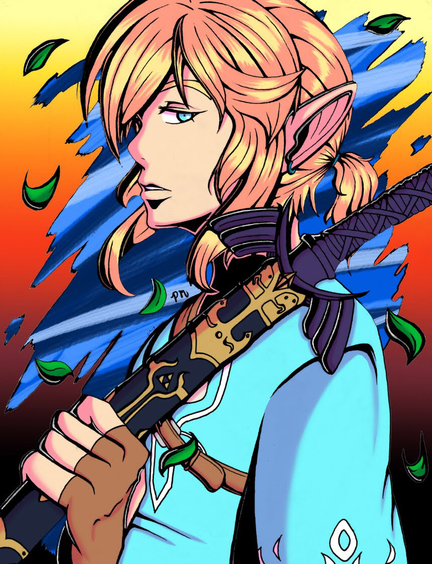 Link-Breath of the Wild