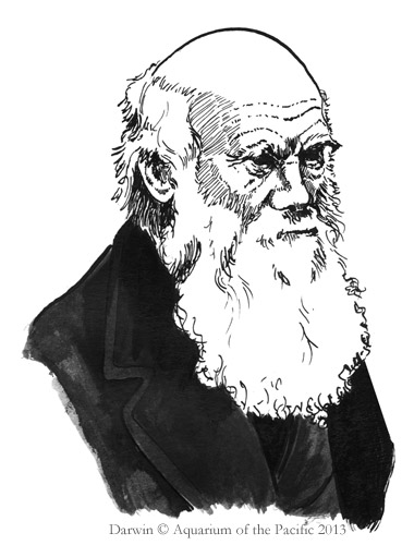 Darwin