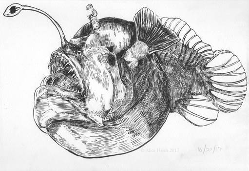 Deep Sea Anglerfish