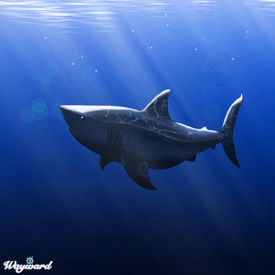 Megalodon by Gagep on DeviantArt