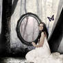 Clustered in Frozen Portraits