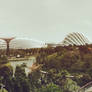 Panoramic View of Gardens by the Bay